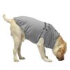 Always Hungry - Grey PetZico Dog Tshirt - side View