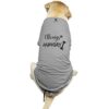 Always Hungry - Grey PetZico Dog T-shirt - Front View