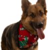 Red Bandanas for Dogs by PetZico
