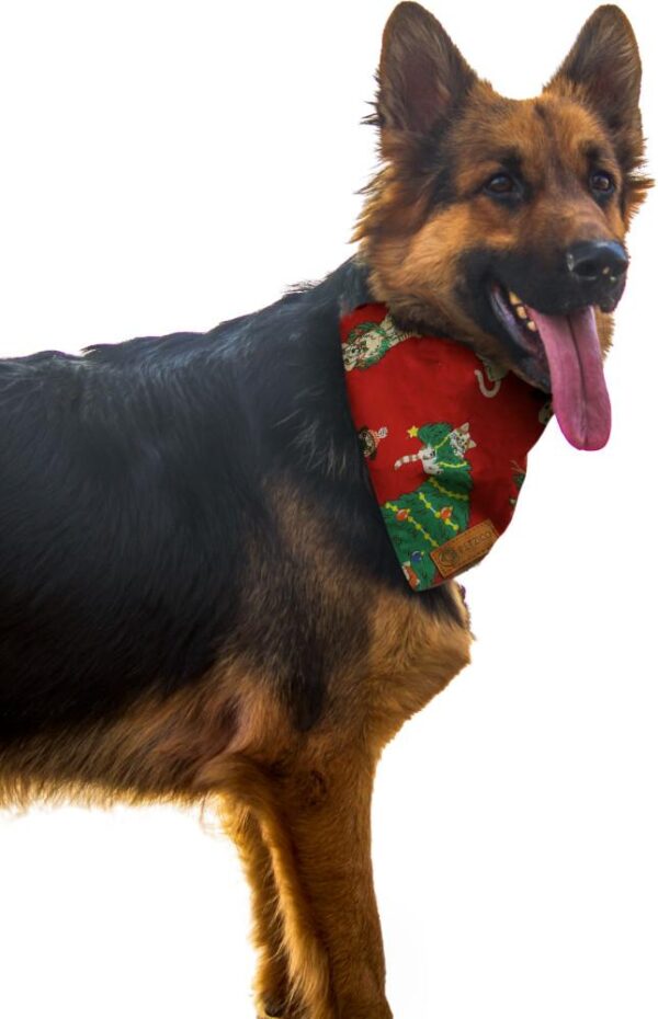 Red Dog bandana