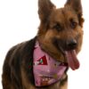 Pink Doggy bandana with Santa Christmas Tree