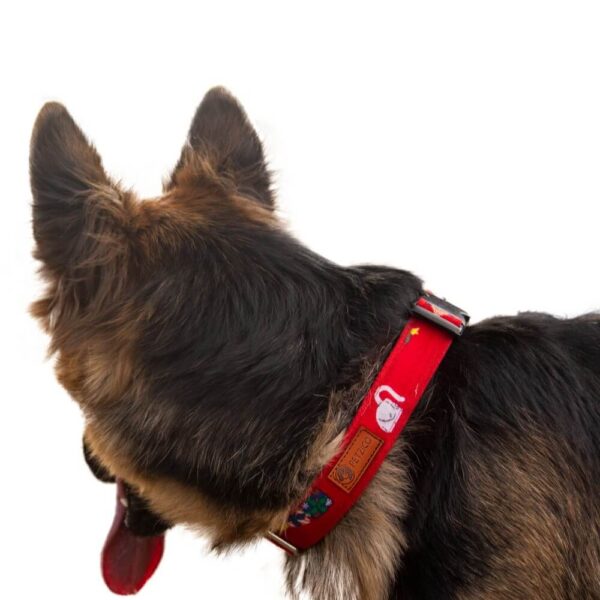 Red Dog Collar