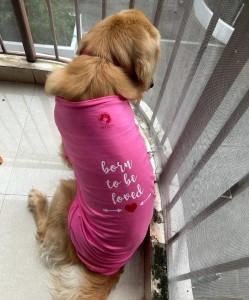 Reasons you should buy a Dog Tshirt - Featured Image