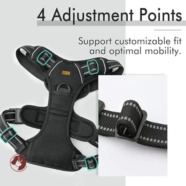 Adjustment Points - full body harness by PetZico
