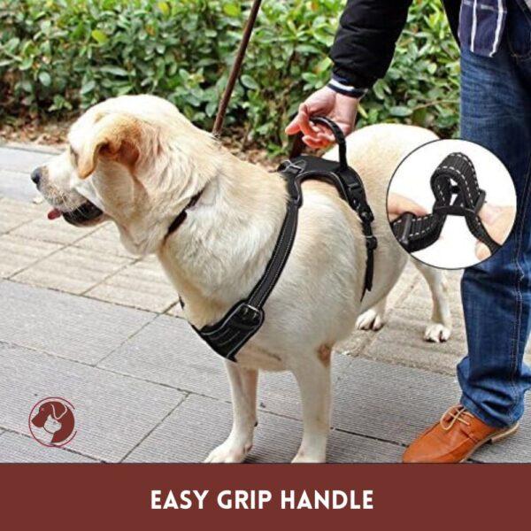 Easy Grip handle - full body harness by PetZico