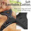 Breathable Sot Cushion - full body harness by PetZico