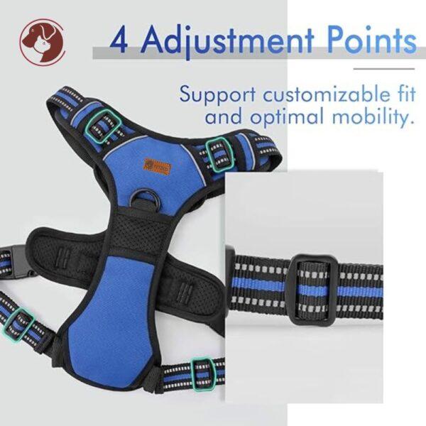 Full Body Dog Harness - 4 Adjustment points - Blue