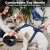 Full Body Dog Harness - Top Handle - Blue