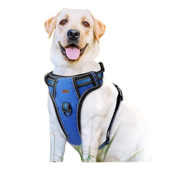 Full body Dog Harness - Blue by PetZico