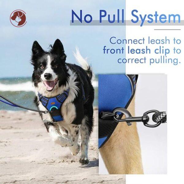 Full Body Dog Harness - No Pull System - Blue