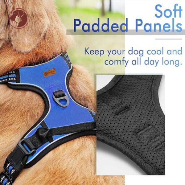 Full body Dog harness - Soft panels - Blue