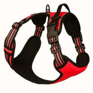 Full Body Dog Harness - Red by PetZico