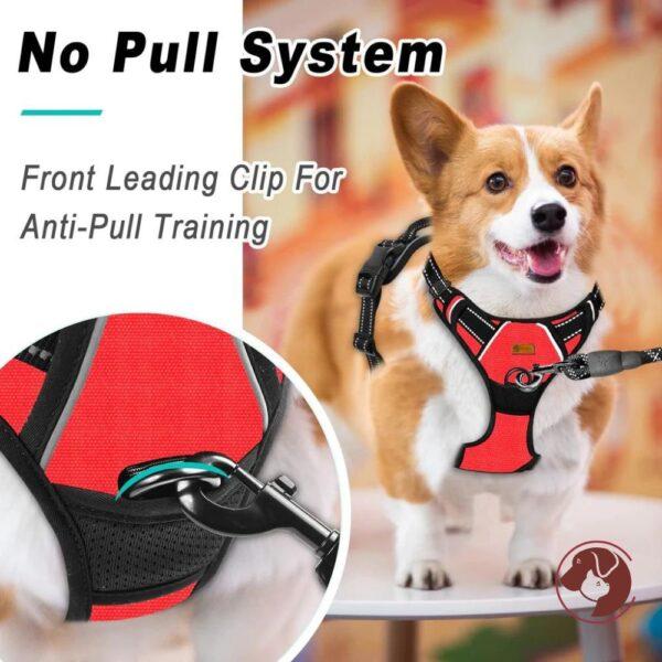 Full Body Dog Harness - No Pull system - Red